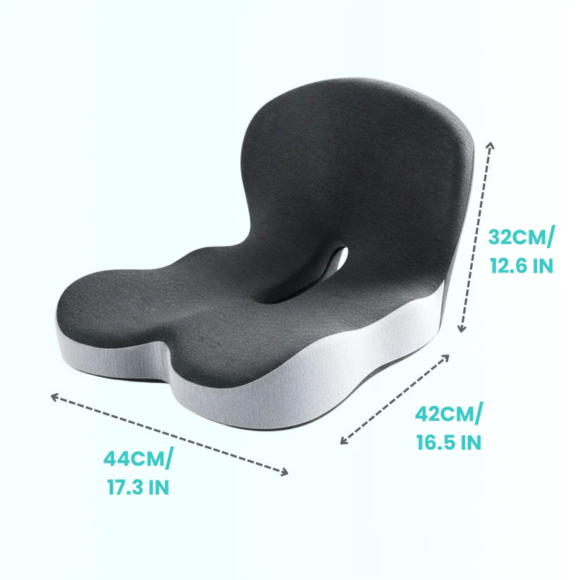 BodyBase™ | מערכת תמיכה משולבת (מושב פלוס™)