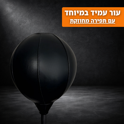 ReflexMaster™ - מתקן איגרוף מקצועי