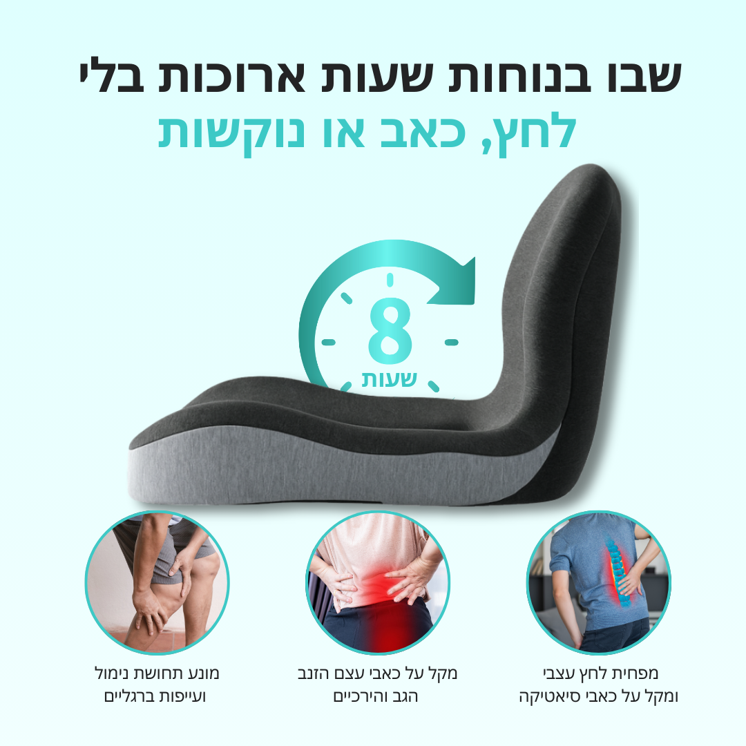 BodyBase™ | מערכת תמיכה משולבת (מושב פלוס™)