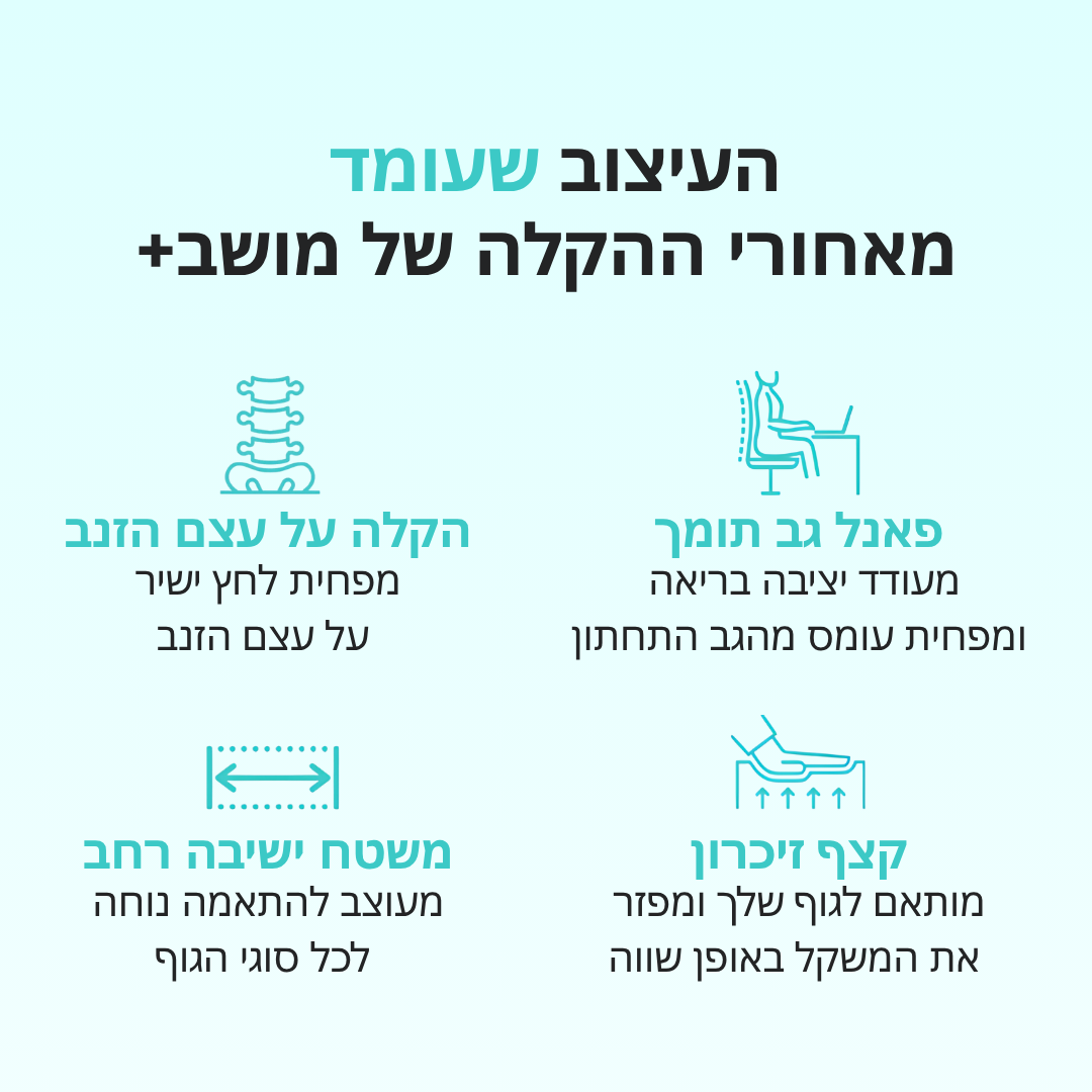 BodyBase™ | מערכת תמיכה משולבת (מושב פלוס™)