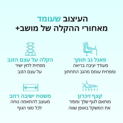 BodyBase™ | מערכת תמיכה משולבת (מושב פלוס™)