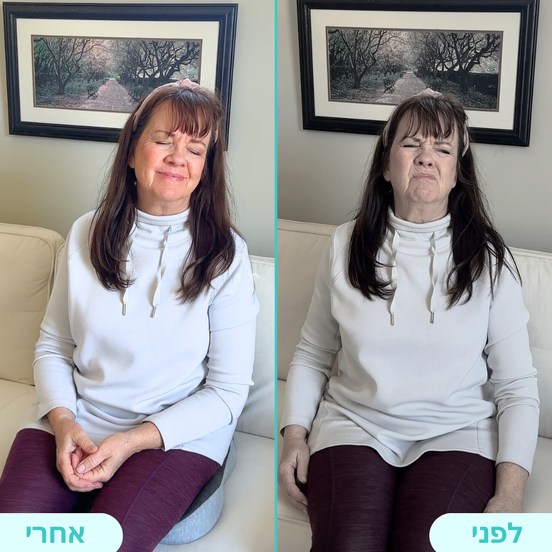 BodyBase™ | מערכת תמיכה משולבת (מושב פלוס™)